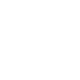 sun icon